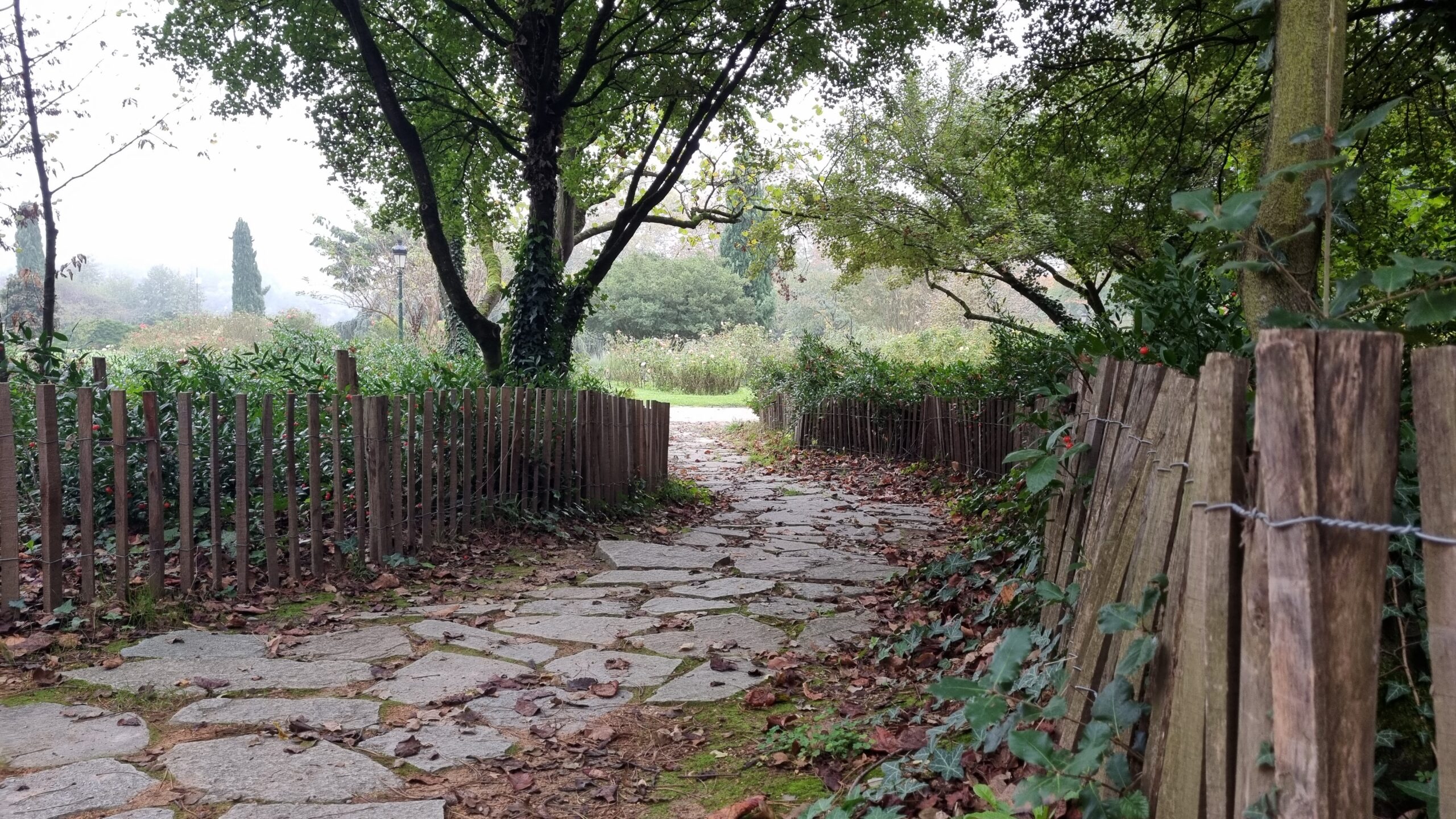 L’automne, le parc et les serres